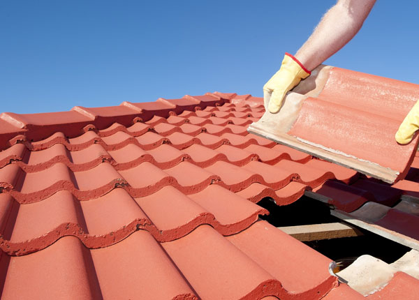 About Grey Eagle MN Roofers